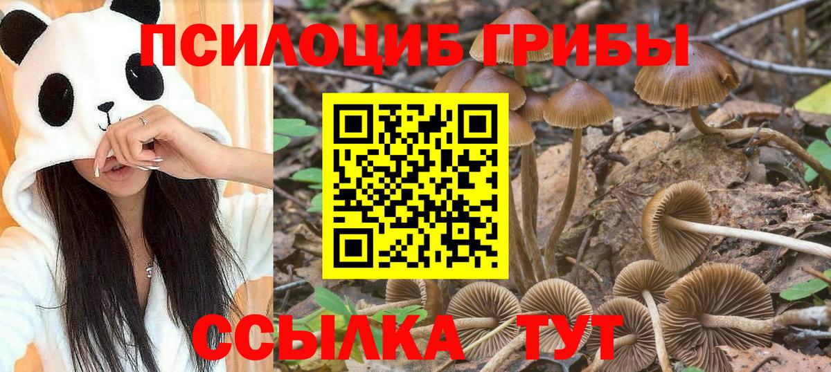 Галлюциногенные грибы Cubensis  Вход с VPN  Псилоцибиновые грибы прущие грибы  Кушва 