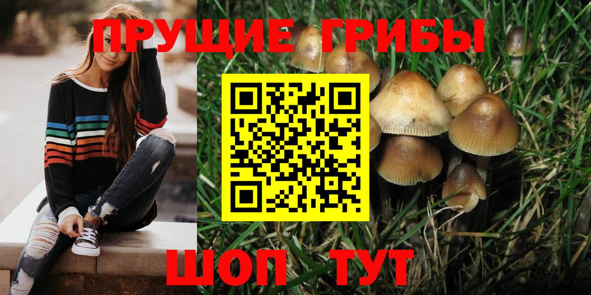 Псилоцибиновые грибы ЛСД Кушва